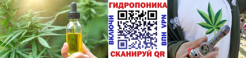 kraken ССЫЛКА  купить наркоту  Кудрово  Canna-Cookies марихуана 