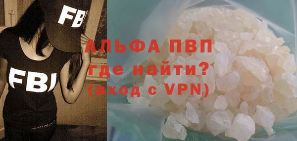 гашик Инсар