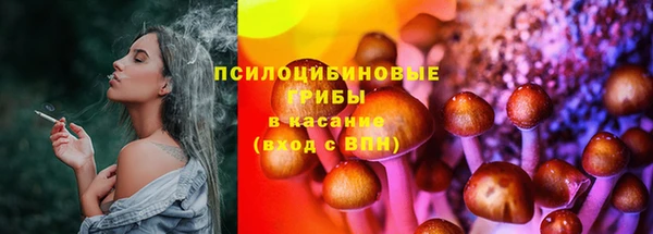 гашик Инсар