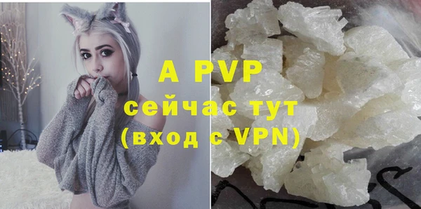 хмурый Чекалин