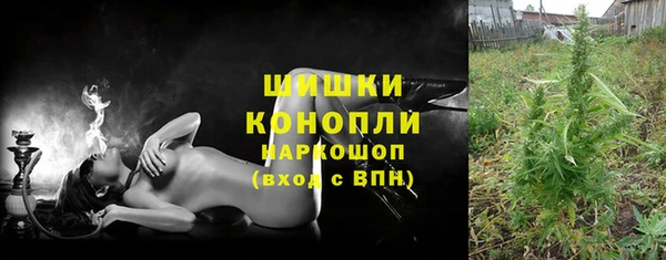 гашик Инсар
