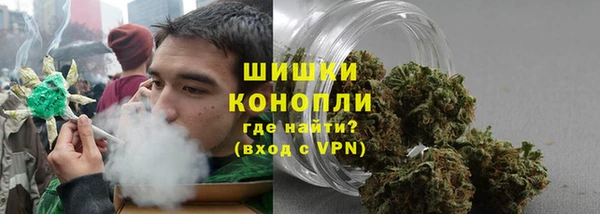 гашик Инсар